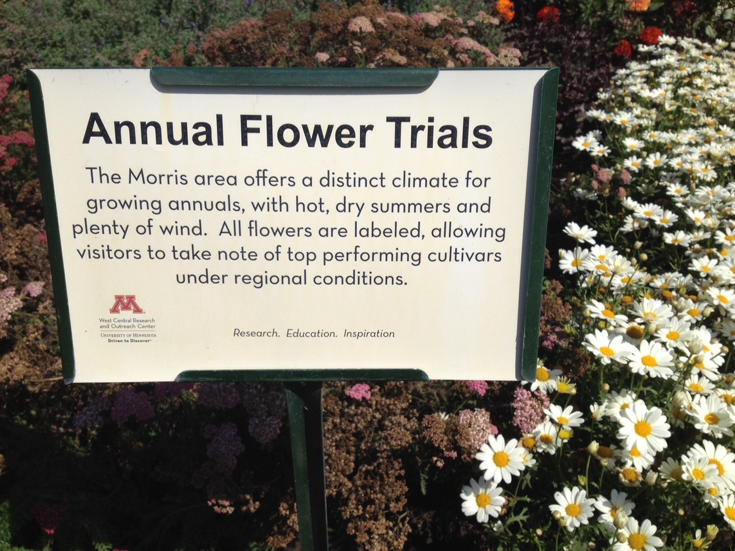 Annual-flower-trials.jpg