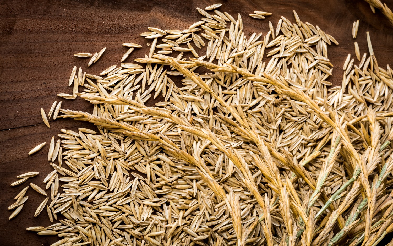 Photo of dried grain