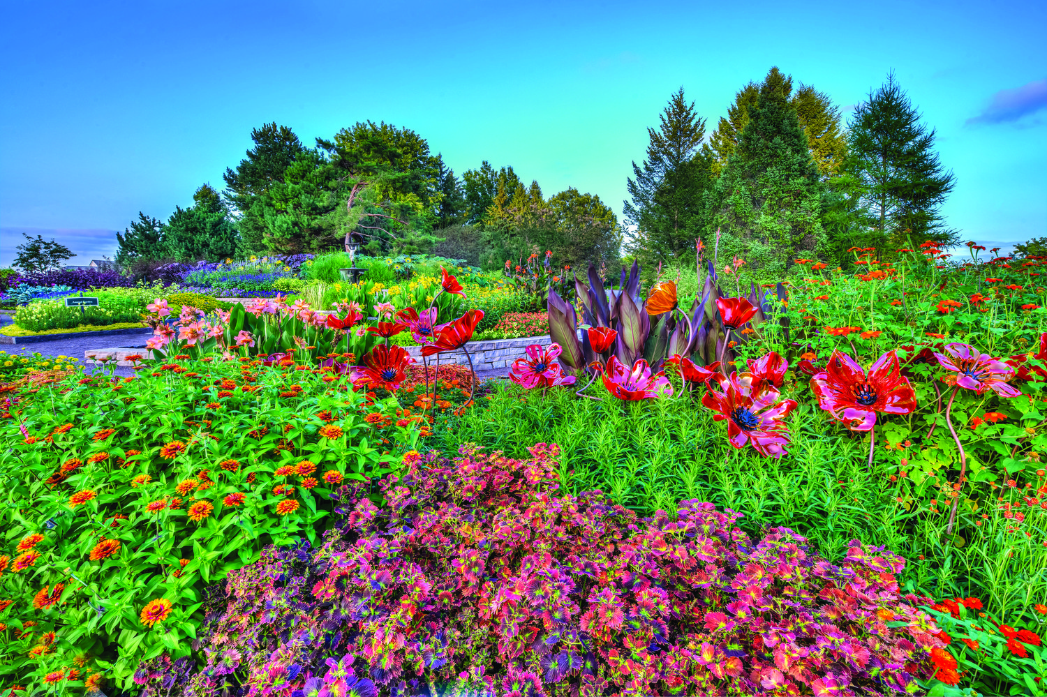 Image of flowers in bloom at the Minnesota Landscape Arboretum