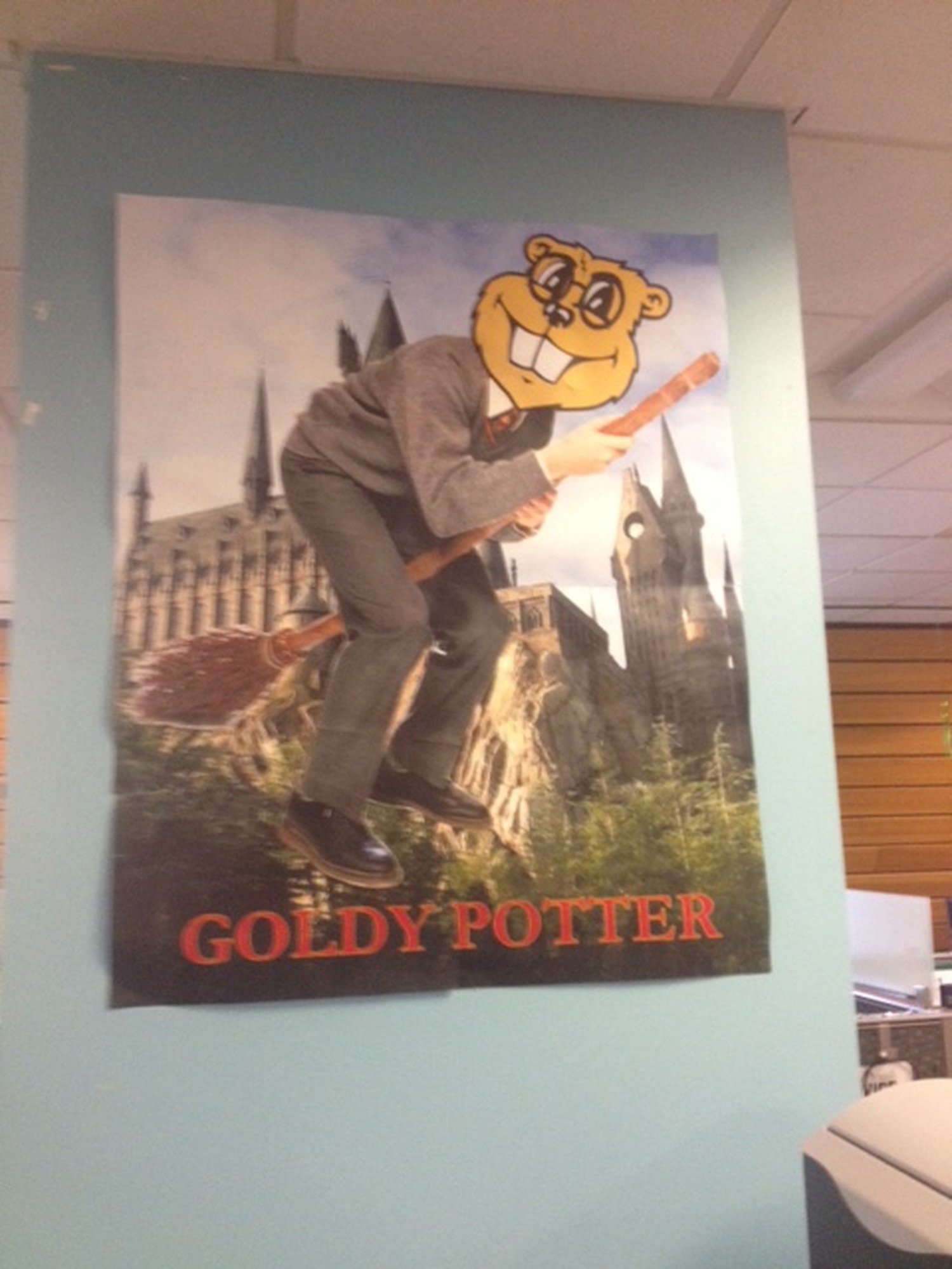 Goldy-Potter.jpg