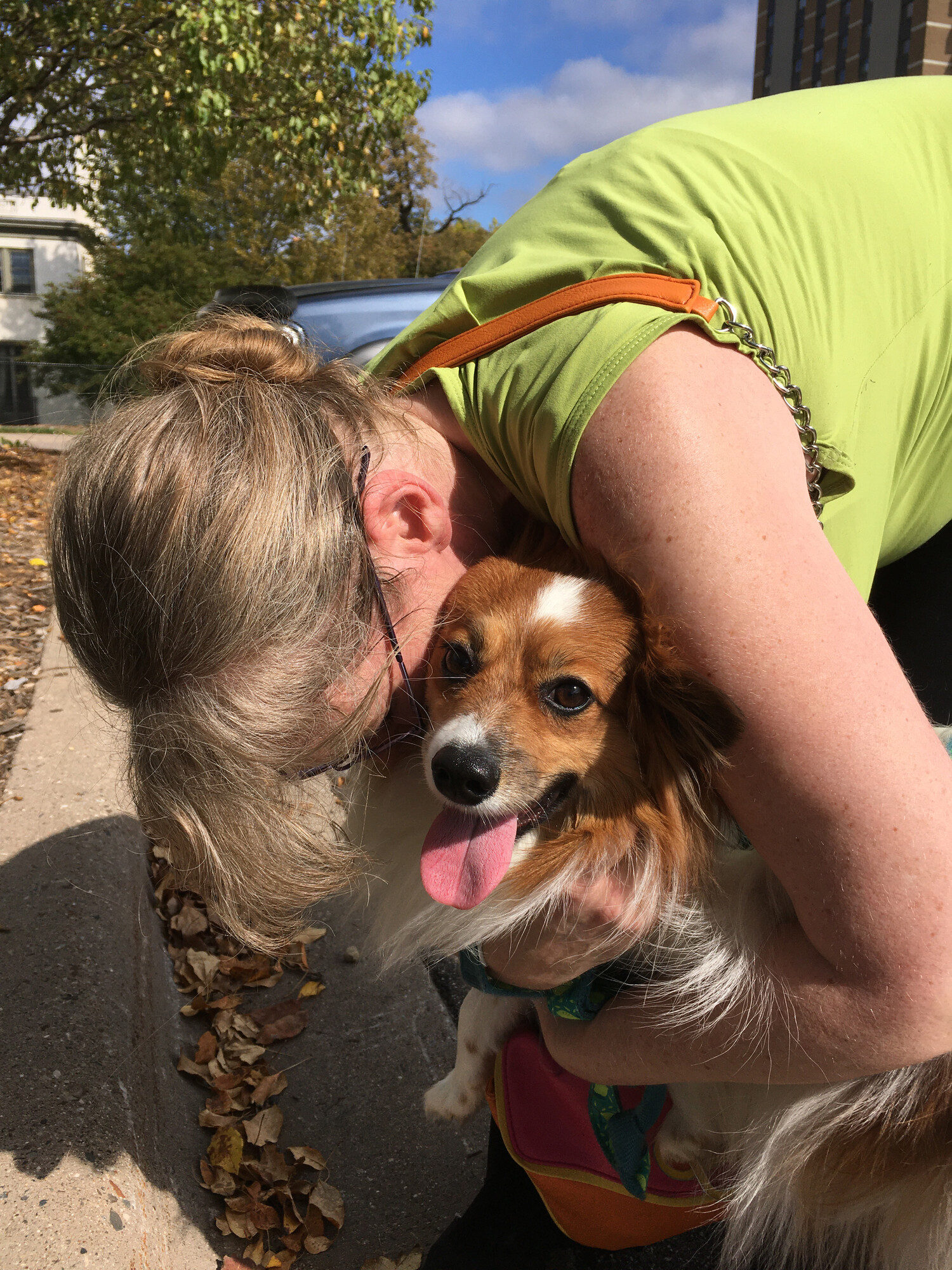Woman hugging a small brown dog