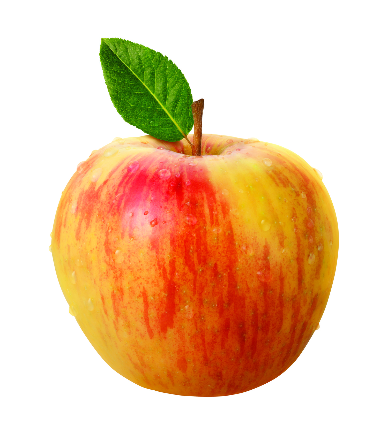 Image of a Honeycrisp apple